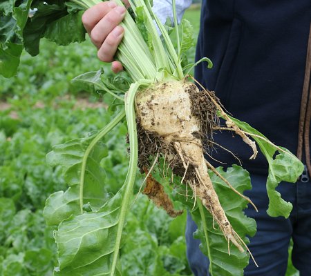 Reducing GHG emissions on farm