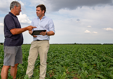 Farmer with beet crop