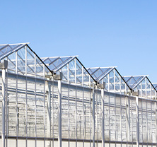 Greenhouse