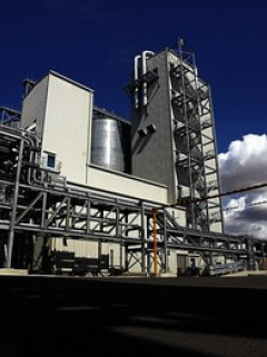 Vivergo plant